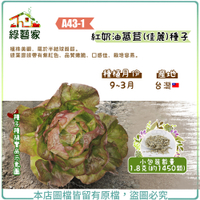 【綠藝家】A43-1.紅奶油萵苣(佳麗)種子1.8克(約1450顆)