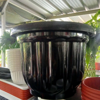 Pot plastik hitam 50cm / pot plastik murah meriah