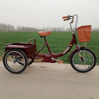 Elderly Pedal Tricycle Elderly Tricycle Small Walking Bicycle Lightweight