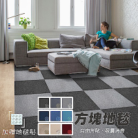 范登伯格 - 素色不黏膠方塊地毯 (9色可選) (50 x 50cm/1箱/1.5坪)