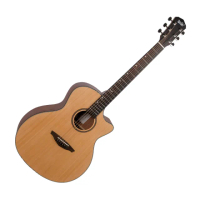 【Veelah】VGACSM 雲杉合版系列 41吋 木吉他(原廠公司貨 商品皆有保固一年)