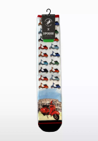 A Fish Named Fred Scooter Design Socks (3 pairs)