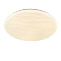 【聚美照明】星空水波紋吸頂燈 全光譜護眼燈 1-2坪（30CM 3000lm）(手機APP+遙控/三色變光/防藍光高顯色)