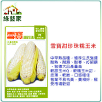 【綠藝家】大包裝G34.雪寶甜珍珠糯玉米種子90克(約360顆)
