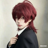 Wig unisex dengan ekor serigala, gaya visual kei, model rambut mullet, cocok untuk cosplay, penutup 