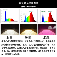 蘭花卉植物補光燈仿太陽全光譜多肉上色生長光合作用綠植照射燈架