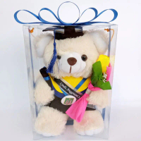 Teddy Bear Wisuda 30Cm Kotak Mika Boneka Wisuda Murah