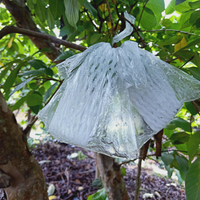 防蟲保護袋 水果包番石榴芭樂保護網套袋防蟲透明袋包果一體專用防塵袋【MJ15807】