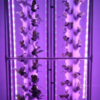 Indoor Vertical Hydroponics System Home Areroponic Tower Garden Growing Kit with 6 Piece Led Light for Leaf Veggies Strawberry