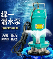 抽水機潛水泵家用自吸抽水220V高揚程泥漿機泵小型化糞池抽糞排污水泵