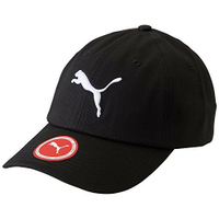 PUMA LOGO CAP 電繡 老帽 棒球帽 052919-01