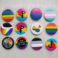 彩虹旗徽章胸針花勛章lgbt六色同性戀標志彩虹同志飾品les別針gay