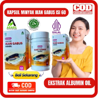 KAPSUL IKAN GABUS ABABIL ISI 60 - MINYAK IKAN GABUS ABABIL EKSTRAK IKAN GABUS PREMIUM ALBUMIN KAPSUL