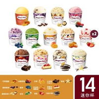 【哈根達斯-冷凍宅配】繽紛嘉年華14入組100ml(14杯14種口味)