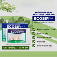 Miếng dán lạnh thảo dược Ecosip Cool - Tatra