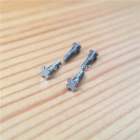4 prongs titanium screw for RM Ri chard Mille RM67 mans' automatic watch band