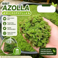 Azolla bibit kemasan 1 serok
