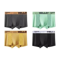 4pcs Men's Underwear Sexy Boxer Mesh Breathable Men's Panties Solid Color Comfortable Boxer Shorts Men Large Size XS-XL