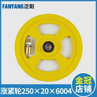 電梯漲緊輪250x20x6004 奧的斯250 240 限速器軸承6004 電梯配件