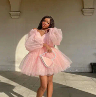[VN01_04] Physical Pink Dress-5kg