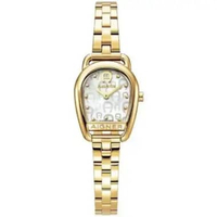 AIGNER HERMADA AGW.281007.C Women's Watches