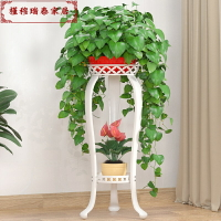 矮花架子小單層凳子式鐵藝客廳綠蘿陽臺歐式單個白色放落地的花盆