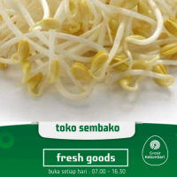 cambah dele tauge kedelai (PO H+1)