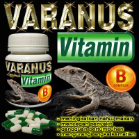 30 KAPSUL VARANUS VITAMIN BUBUK KAPSUL OBAT MENYEMBUHKAN GANGGUAN PERTUMBUHAN VARANNUS SALVATOR SALV