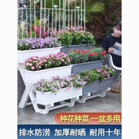 免運/可開票 快速出貨 陽臺種菜盆室內花架家庭蔬菜種植箱草莓專用盆花盆家用頂樓神器盆