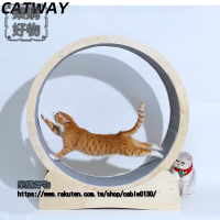 CATWAY寵物貓咪跑步機貓跑輪佈偶滾輪實木貓爬架大型貓玩具全實木