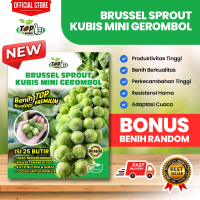 Bibit Benih Brusell Sprout Kubis Mini Gerombol - Kualitas Premium (Bonus Benih Random)