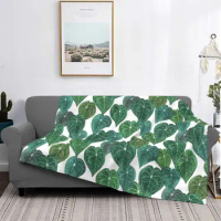 Anthurium Clarinervium Leaves Blanket Tropical Art Flannel Awesome Breathable Throw Blanket for Bedding Lounge Autumn/Winter