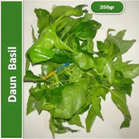 Daun Basil Hijau Segar - Daun Sweet Basil Fresh | 250gr [ Harga Per BKS ]