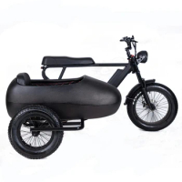 Factory Supply 500W 48V Electric Fat Tire Trike 3 Wheel Family Delivery E Cargo Bike For Adults