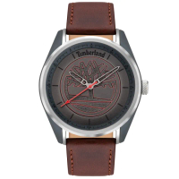 【Timberland】天柏嵐 時尚休閒腕錶 / 45mm(TBL.16086JSPGY/13)