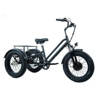 China hot selling adult three wheel bike electric tricycles 750W 48V li-ion battery trike
