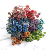Yunnan Factory Wholesale Eternal Blue Planet Eternal Flower Material Forest Style Ins Nordic Style H