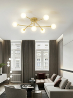 北歐小戶型客廳燈輕奢吸頂燈藝術創意燈飾主臥室燈簡約現代房間燈