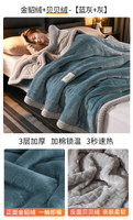 法蘭絨毯 雙人被 毛毯 毛毯被子加厚冬季珊瑚法蘭絨蓋毯子床上用羊羔沙發午睡辦公室單人『wl12435』