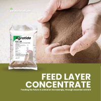 Pakan Ayam Petelur AGROTIDE FLC-20 Protein Konsentrat Fungsional Feed Efisiensi FCR Ternak Unggas La