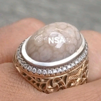 bacan ceplok kura albino natural unik
