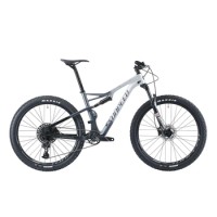 Carbon Fiber MTB bikes 29 Inch Carbon Frame Bicycle in Stock Carbon Mountain Bike