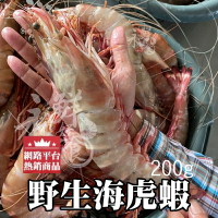 【永鮮好食】野生海虎蝦 海草蝦 手臂蝦 (200g/1尾)