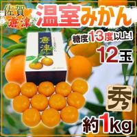 【天天果園】日本佐賀唐津蜜柑原裝1kg禮盒(約12-15入)