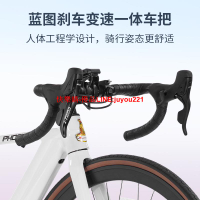 鳳凰高端電動助力公路車鋰電電動自行車男女通用鋁合金成人賽車