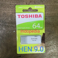 FLASHDISK DATA HEN 9.0 PS4