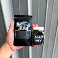 Paket Auranti [Pelet Budrek Auranti X Maggot Blue SaintHan] booster warna biru dorsal, yellow bar, g