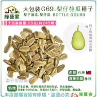 【綠藝家】大包裝G69.梨仔匏瓜種子28克(約245顆) (梨子蒲瓜.梨仔瓜) 早生品種