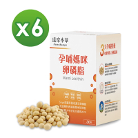 【福利品】【達摩本草】孕哺媽咪卵磷脂粉包x6盒 (30包/盒)（有效日期：2025年8月）