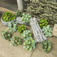 Green Plant 24 Heads Mini Artificial Cactus Plant Plastic Real Touch Artificial Succulent Plant Real